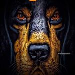 Phillip Dowdy - @dowdy.phillip - Instagram