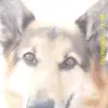 Phil Drees - @phildrees - TikTok
