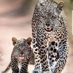 Philip Dreyer - @philip.dreyer.319 - Instagram
