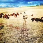 Philip Dreyer - @philipdreyer_09 - Instagram