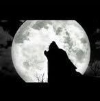 Philip Dreyer - Facebook