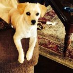 Phillip Dunn - @pmdunn60 - Instagram