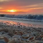 Phillip Dunn - @phillipdunn2072 - Instagram