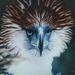 Philippine Eagle Nigeria Limited - @phillipineeaglenigltd - Instagram