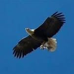 Phillip Eagleman - @phillipeagleman - Instagram