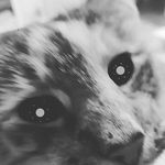 Phillip Eckert - @philueck - Instagram