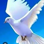 Phillip enos baluhya - @phillipenosbaluhya - Instagram