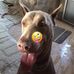 Phillip Fielding - Facebook