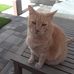 Phillip Fielding - Facebook
