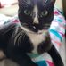 Phillip Gauthier - Facebook
