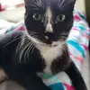 Phillip Gauthier - @phillip.gauthier - TikTok