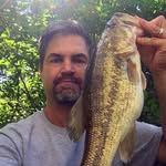 @phillipgoldsteinlax - Instagram