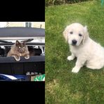 Philip Gooding - Facebook