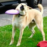 Phillip Goodson - @thelegacyhobo - Instagram