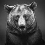 Phillip Gray - @thunder_bear64 - Instagram