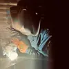 Grayson Phillips - @grayson.phillips05 - TikTok