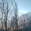 Grayson Phillips - @grayson.phillips4 - TikTok