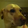 Grayson Phillips - @graysonphillips - TikTok