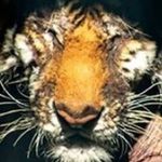 Phillip Grayson - @phillip_grayson123 - Instagram