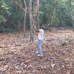 phillip greaves - @phill67 - Instagram