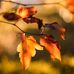Phillip Grigsby - Facebook
