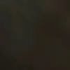 Phillip Grigsby - @phillip.grigsby - TikTok