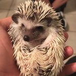 Phillip Guidry - @guidry.phillip - Instagram
