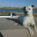 Phillip Guidry - @guidry747 - Instagram