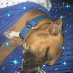 Phillip Haley - @phildog626 - Instagram