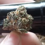 phillip haley - @haleyphillip63 - Instagram