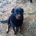 Phillip Hammock - Facebook
