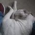 Phillip Harden - Facebook