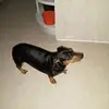 Phillip Hardin - @phillip.hardin2 - TikTok