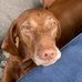 Philip Hare - Facebook