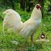 Phillip Harold - Facebook