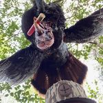 Phillip Hart - @hart626 - Instagram