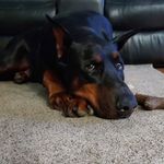 Phillip Hatton - @phillip.hatton.18 - Instagram