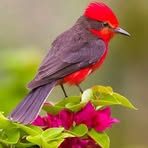 Phillip Heath - Facebook