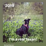 Phillip Hebert - @cutie_patooty_lucy - Instagram