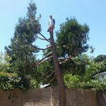 Phil Heiman - @phillip.heiman - Instagram