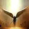 phillip hein - @phillip.hein8 - TikTok