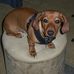 Phil Hinkle - Facebook