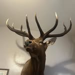 Phillip Hinkle - @phil.r.hinkle - Instagram