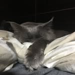 Phillip - @phillip.hirsch1510 - Instagram
