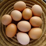 newhaven oasis - @phillip_island_holiday_rental - Instagram