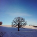 Philip Holman - @philippdholman - Instagram