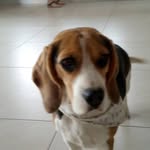 Phillip Höwer - @phillip.hower - Instagram