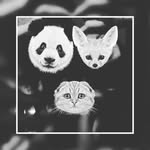 phillip Inglett - @phillipinglett - Instagram