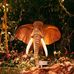Phillip Jose - Facebook