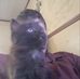 Phillip Joyner - Facebook